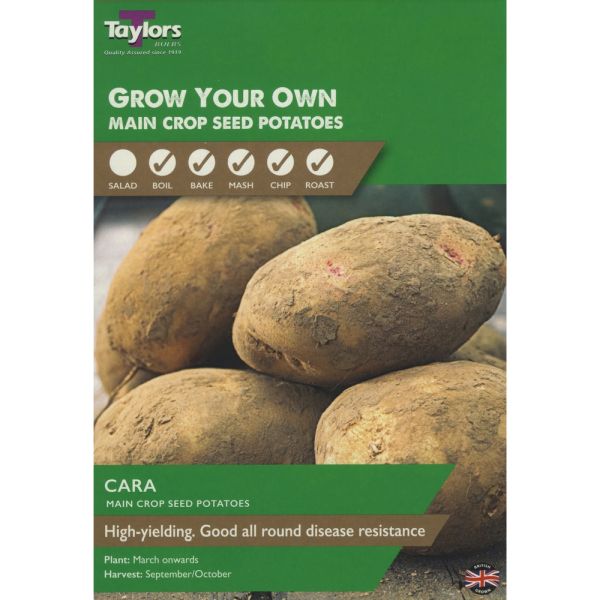 Cara Seed Potatoes Taster Pack of 10